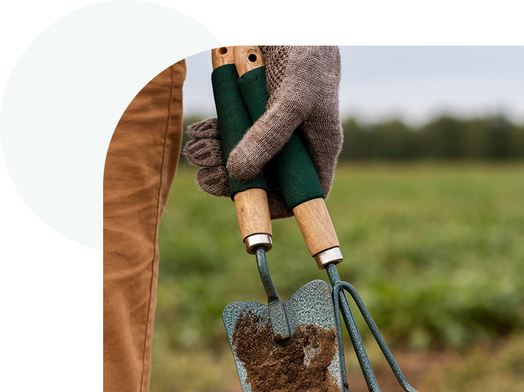 Modern Practices to Increase Crop Productivity in Dry Climates