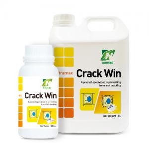 Crack Win