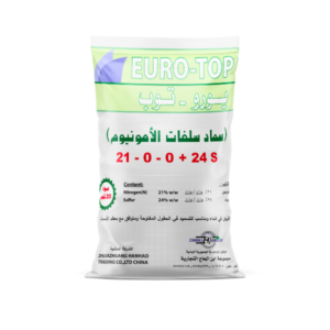 EURO TOP