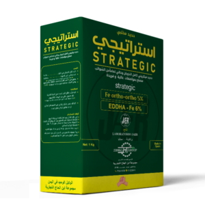 STRATEGIC