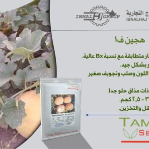 Melon Malaki