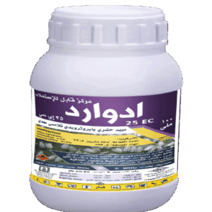 ادوارد