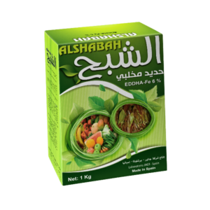 الشبح