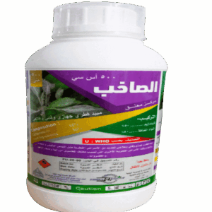 الصاخب