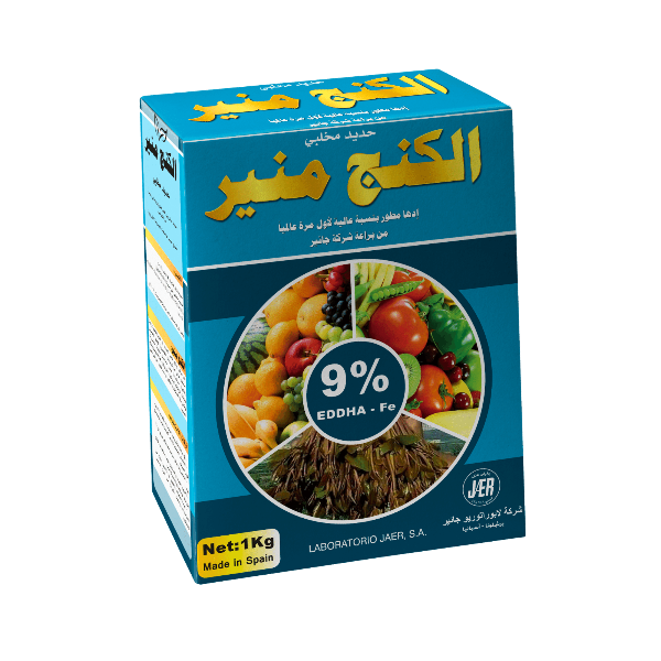الكنج منير