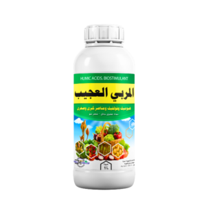 المربي العجيب