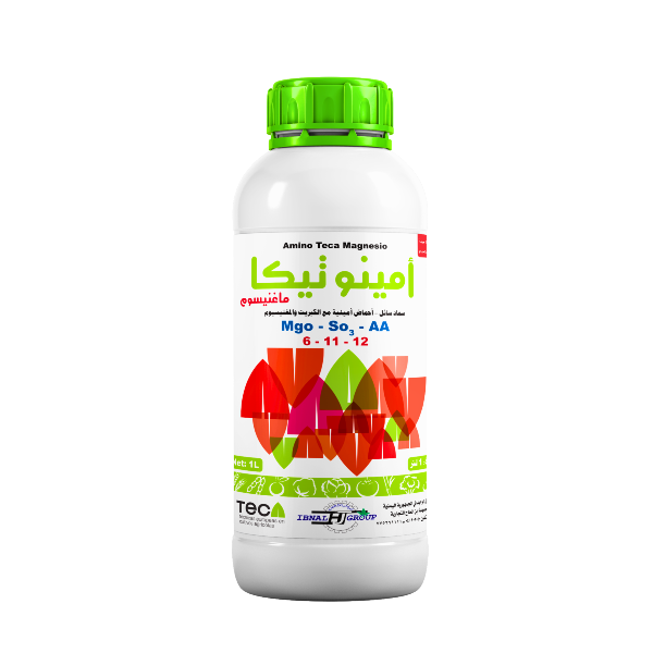 امينوتيكا ماغنيسوم
