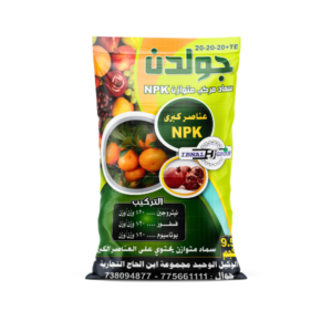 جولدن