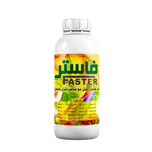 فاستر