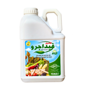 فيداجرو الأصيل