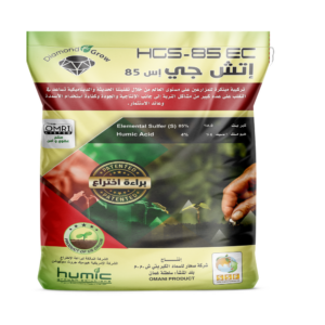 اتش جي اس 85
