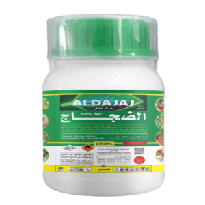 AL-DAJAJ