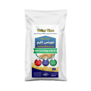 توينس تايم