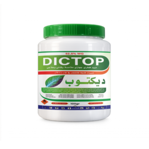 DIC TOP
