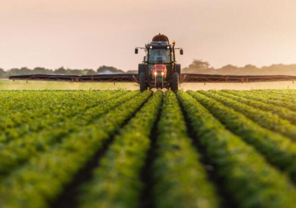 Planting and Harvesting Seasons and Recommended Crop Varieties in Yemen