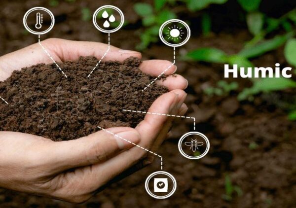 فوائد حمض الهيوميك للتربة والنبات – Humic Acid